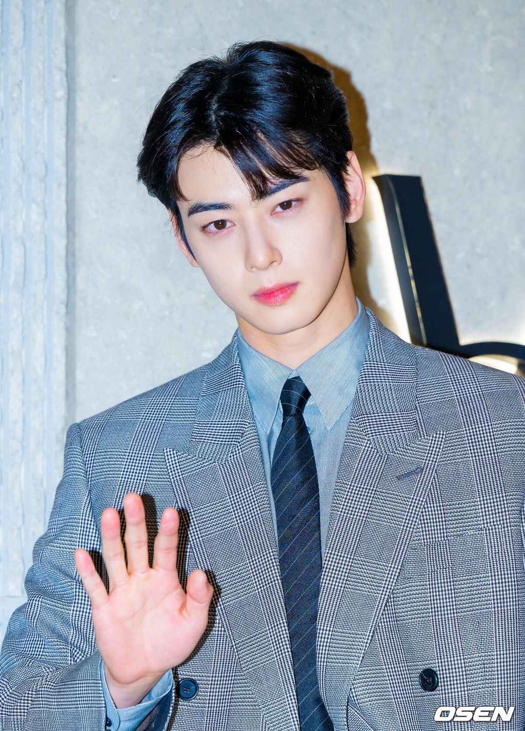 Cha Eunwoo Image