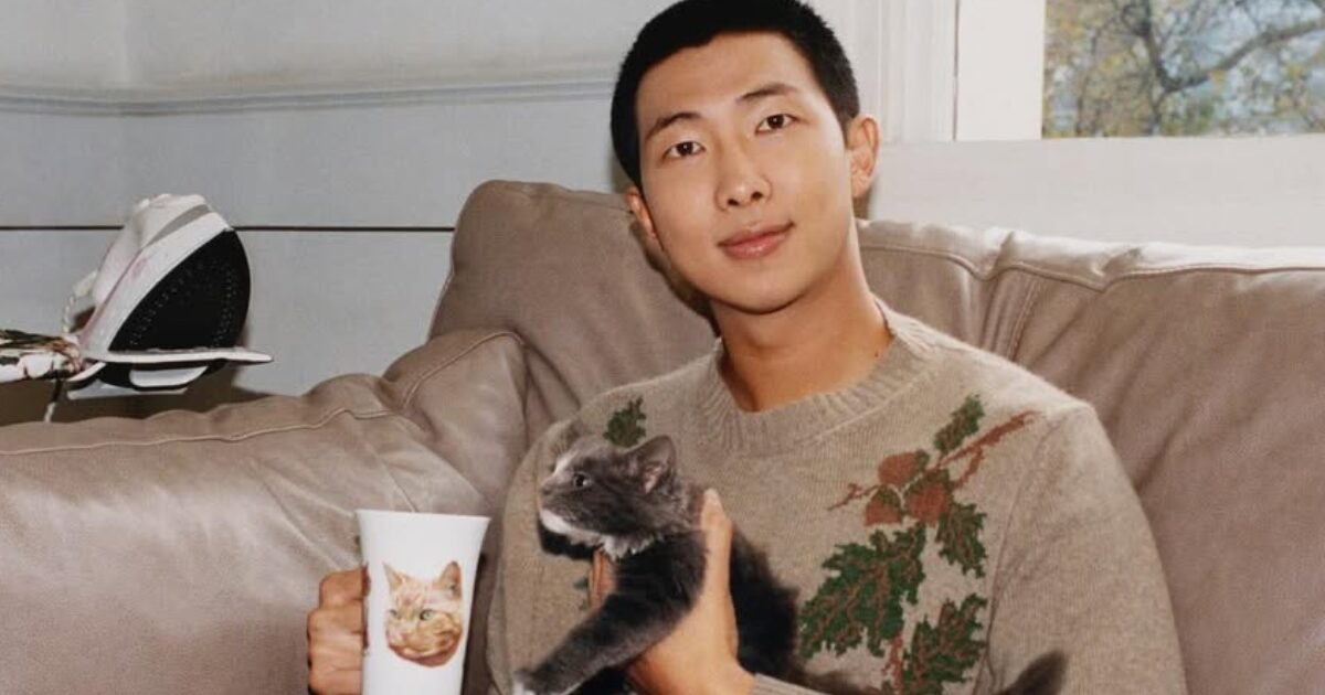 BTS's RM Makes K-Pop History While Away On Military Service