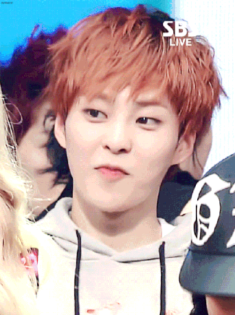Xiumin Flower Petals