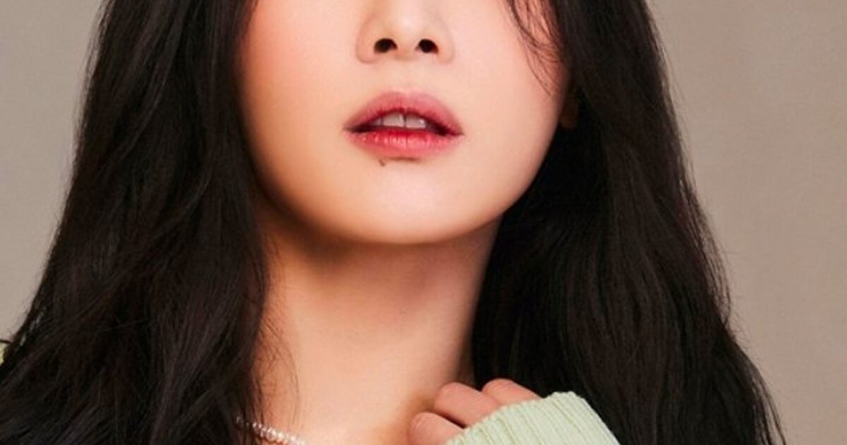 The K-Pop Girl Group Member That Was Reported To Be In The CIA