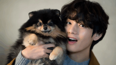 Yeontan
