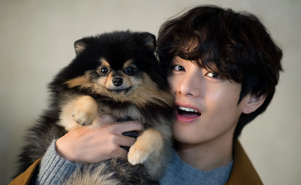 Yeontan