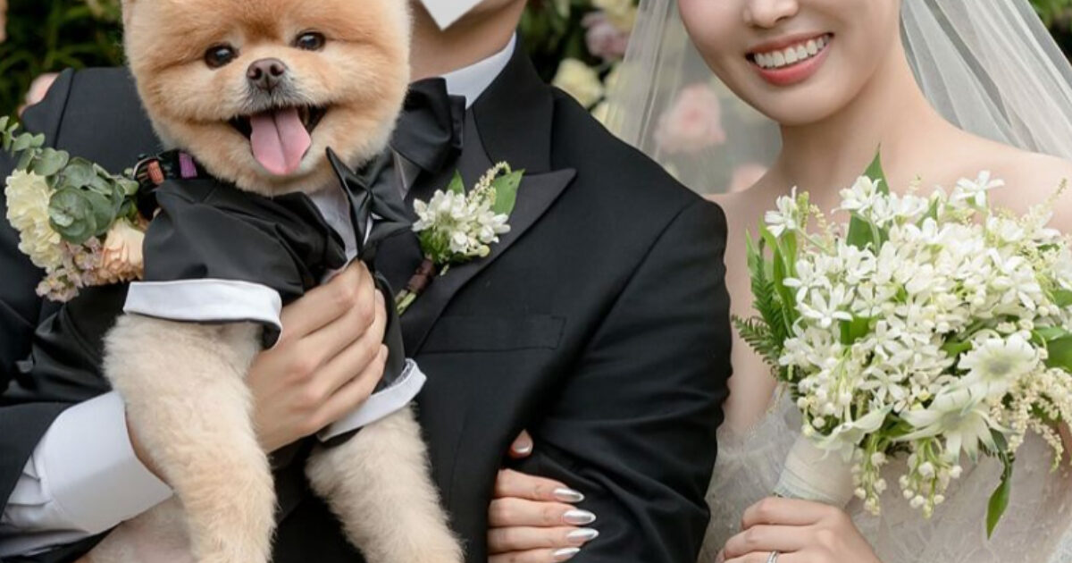 Famous Second-Gen Idol’s Husband’s Mysterious Appearance Takes A Wildly Unexpected Turn