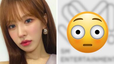 Red Velvet Wendy's Latest Activity For SM Entertainment After Leaving The Company Shocks Fans