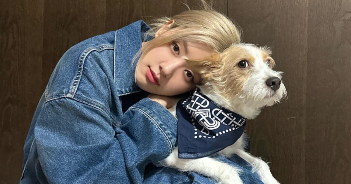 BLACKPINK's Rosé Hit With Hate... Because Of Her Dog Hank