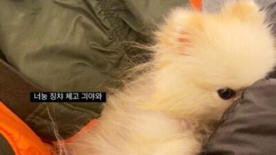 AVvXsEiu8L5hOr2_izkIEU3HHDV12EWV