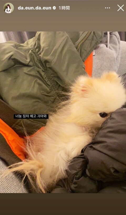 AVvXsEiu8L5hOr2_izkIEU3HHDV12EWV