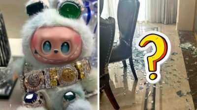 Little Boy's Tantrum Over Labubu Doll Ends In Shocking Home Disaster