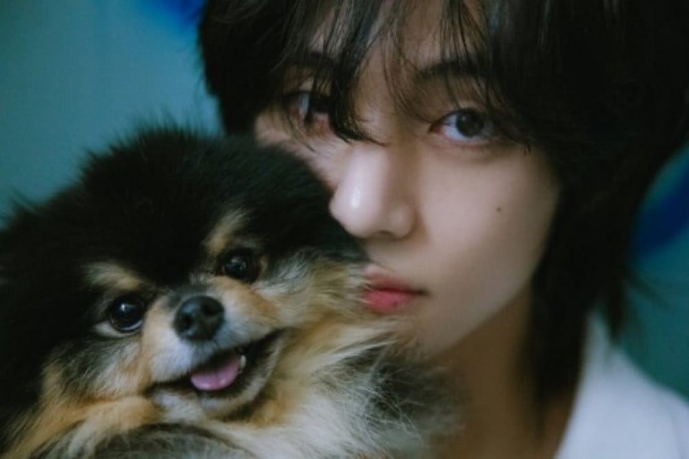 Yeontan with V
