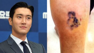 Super Junior's Siwon Responsible For A Woman's Death? Dog Bite Incident Resurfaces Amid Demands For His Removal
