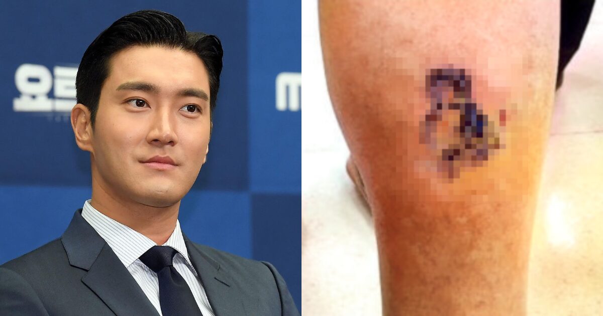 Super Junior's Siwon Responsible For A Woman's Death? Dog Bite Incident Resurfaces Amid Demands For His Removal