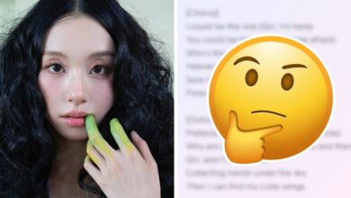 TWICE Chaeyoung's New Song Lyrics Stir Up Intense Speculation Over Hidden Meaning