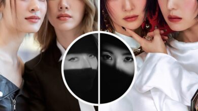 Popular GL Duo's Promo Video Accused Of Blatantly Plagiarizing K-Pop Girl Group