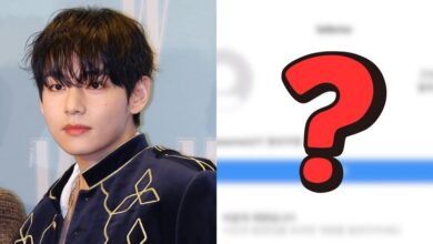 BTS V Controversy