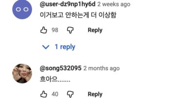 YouTube comments on IVE fancam