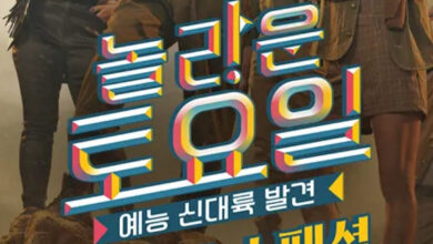 "Amazing Saturday" Loses Another Cast Member Due To "Injection Auntie" Controversy