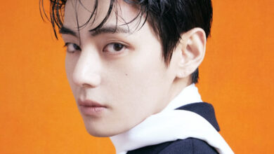 BTS V Stock-Rich Photo