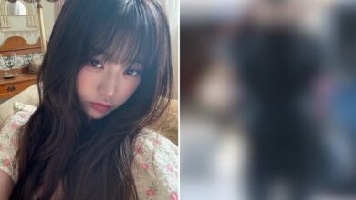 IVE Wonyoung Airport Controversy