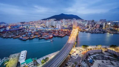 Why Busan Has Become a Must-Visit City for Global Korean Pop Culture Travelers 10 Why Busan Has Become a Must-Visit City for Global Korean Pop Culture Travelers