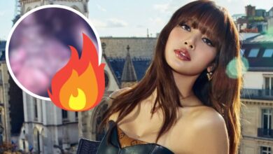 BLACKPINK Lisa's "Sexy" And "Revealing" Concert Outfit Stirs Up Major Reactions