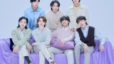 BTS Arirang Tour Demographics