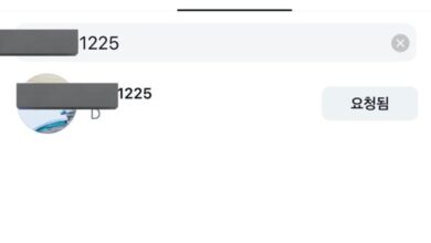 Lee Do Kyung following Danielle and Min Hee Jin