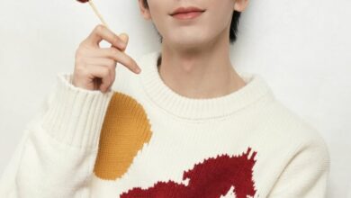 Zhang Linghe controversy