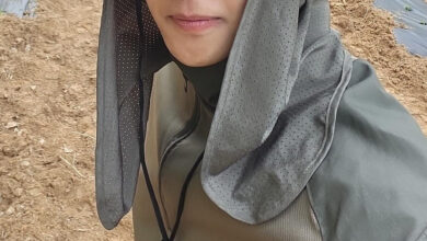 Kim Hyunjoong corn farm