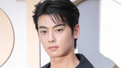 National Assembly Proposes The "Cha Eunwoo Prevention Act"